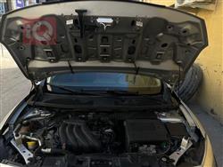 رينو فلوينس